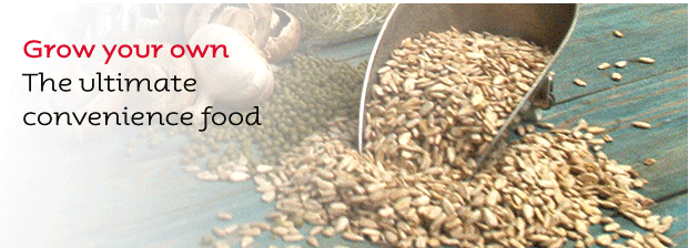 Seed for Sprouting