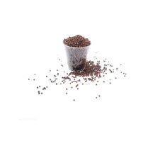 Kale Organic Seed 100g