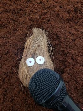 Compost facts