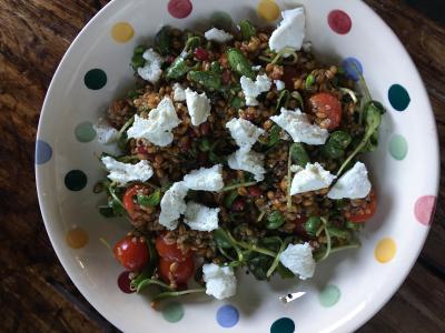 WHEATBERRY SALAD WITH SUNFLOWER SPROUTS, TOMATOES & POMEGRANATE